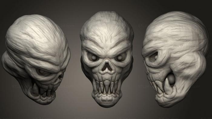Anatomy of skeletons and skulls (Skull, ANTM_1661) 3D models for cnc
